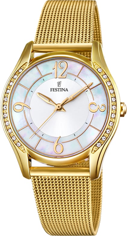 Festina F20421/1